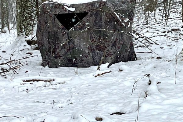How To Bowhunt Deer In Snow